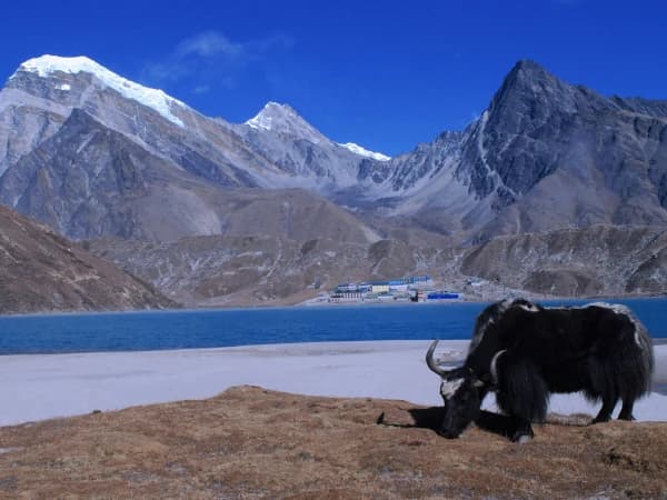 Gokyo Lake